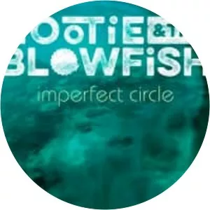 Imperfect Circle - Studio album by Hootie & the Blowfish