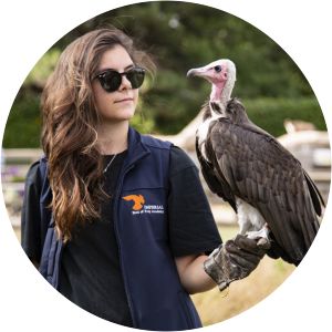 Imperial Birds of Prey Academy