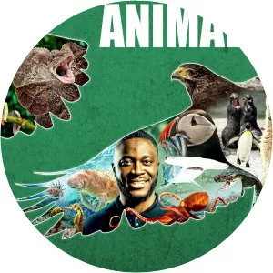 Impossible AnimalsSince 2021