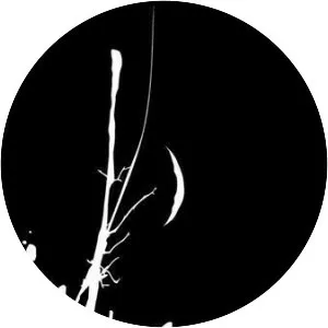 In Luna - Musical group