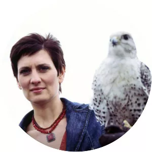 In Search of Medieval Britain - TV program