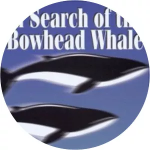 In Search of the Bowhead WhaleSince 1996 - TV program