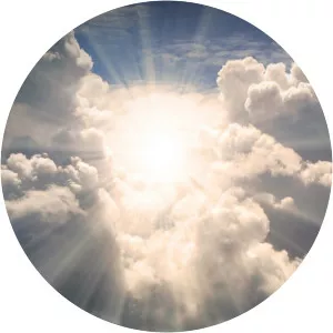 In the Belly of the Whale