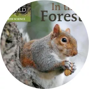 In the Forest: Explore the World Level D Set Michele Dufresne