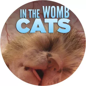 In the Womb: CatsSince 2009