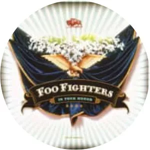 In Your Honor - Studio album by Foo Fighters