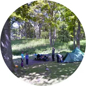 Inchcailloch - Island at Loch Lomond