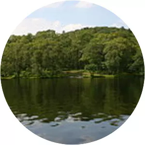 Inchtavannach - Island at Loch Lomond