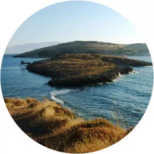 İncir Island (İncir Adası)