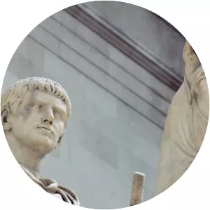 Incitatus photograph