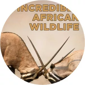 Incredible African WildlifeSince 2012