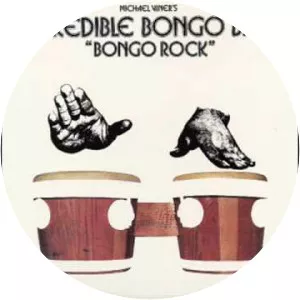 Incredible Bongo Band