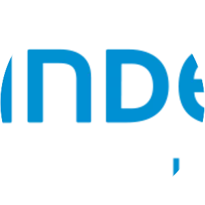 Indesit Co. - Company