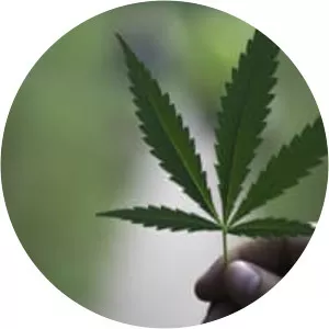 India Globalization Capital