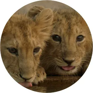 India's New Worlds - 2016 ‧ 1 season