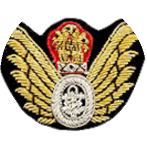 Indian Naval Air Arm - Armed forces
