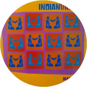 Indian Vibes - Musical group