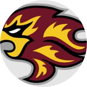 Indiana Firebirds