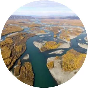 Indigirka River - River in Russia