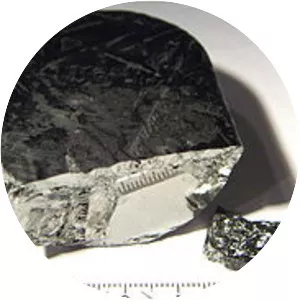 Indium antimonide - Chemical compound