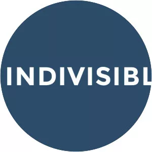 Indivisible Project