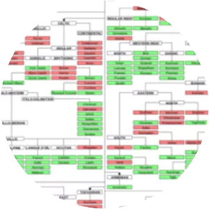 IndoEuropean languages