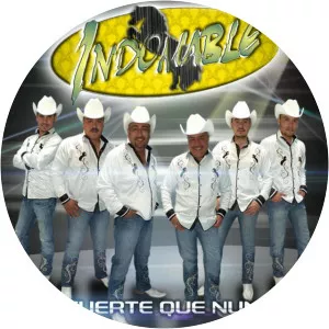 Indomable de Chihuahua - Musical artist