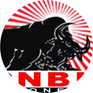 Indonesian National Populist Fortress Party