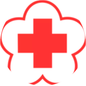 Indonesian Red Cross Society