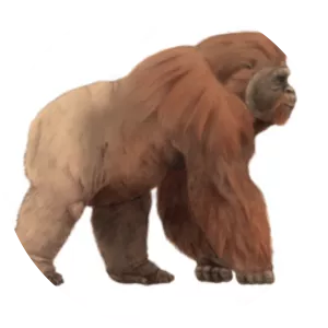 Gigantopithecusbilaspurensis - 