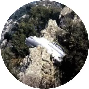 Inex-Adria Aviopromet Flight 1308