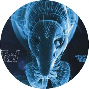 Infrared Riding Hood