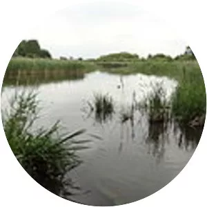 Ingrebourne Marshes - Nature reserve in the United Kingdom