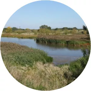 Ingrebourne Valley - 