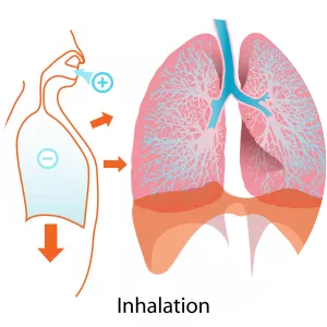 Inhalation