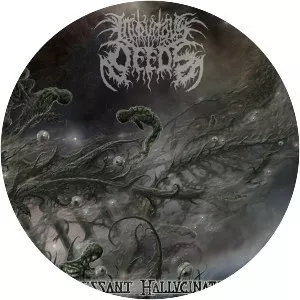 Iniquitous Deeds - Musical artist