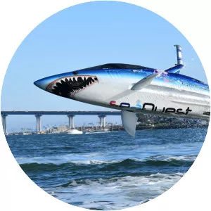 Innespace Seabreacher