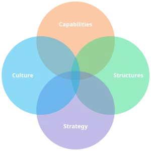 Innovation management