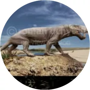 Inostrancevia - Animal