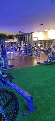 Insane Fitness Academy