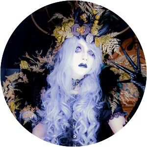 Insanity Injection - Musical group