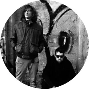 Insect Elektrika - Musical artist