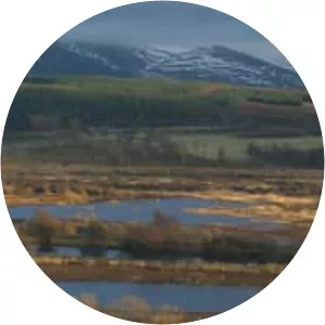 Insh Marshes - Nature reserve in the United Kingdom