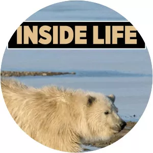 Inside Life - Television series