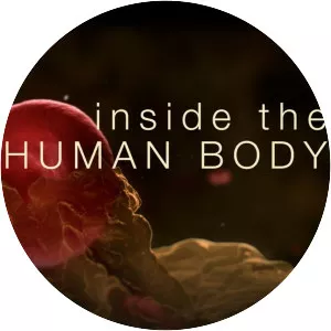 Inside the Human Body