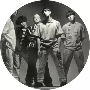 Inspiral Carpets