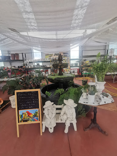 Instinto Vegetal, Lda