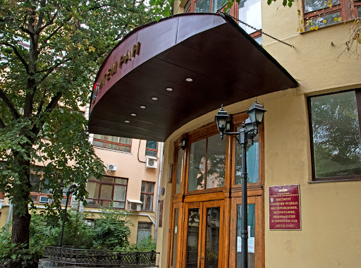 Institut Geologii Rudnykh Mestorozhdeniy, Petrografii, Mineralogii I Geokhimii Ran