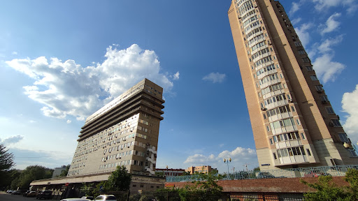 Institut Sotsial'no-Ekonomicheskikh Problem Narodonaseleniya Ran