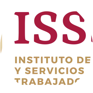 Institute for Social Security and Services